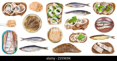Set aus verschiedenen gekochten und rohen Heringsfischen und Fischrogen isoliert auf weißem Hintergrund. Tiefgefrorener Atlantischer Hering isoliert auf weiß Stockfoto