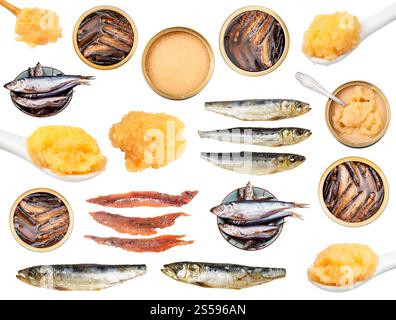 Set von verschiedenen gekochten Sardinen und Sprotte Fische isoliert auf weißem Hintergrund Stockfoto
