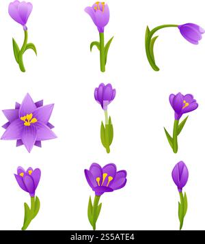 Crocus-Symbole festgelegt. Zeichentricksatz von Krokusvektorsymbolen für Webdesign. Crocus Icons Set, Cartoon Style Stock Vektor
