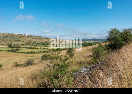 Hures-la-Parade (Südfrankreich): Landschaft des Kalkplateaus von Causse Méjean in Nivoliers Stockfoto