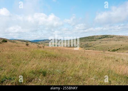 Hures-la-Parade (Südfrankreich): Landschaft des Kalkplateaus von Causse Méjean in Nivoliers Stockfoto