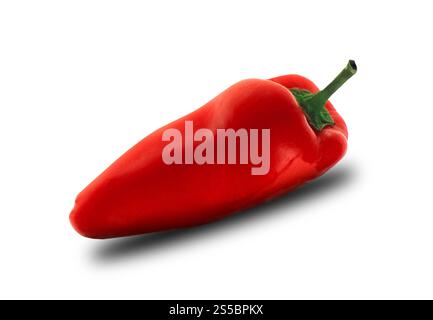 Roter Papper isoliert auf weißem Hintergrund. Roter Papper Stockfoto