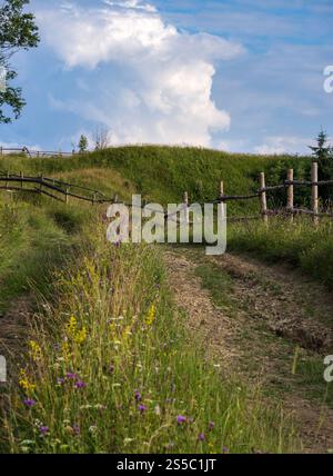 Malerischer Sommer Blick auf die Karpaten, Ukraine Stockfoto