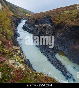 Der malerische Studlagil Canyon im Herbst ist eine Schlucht in Jokuldalur im Osten Islands. Berühmte Basaltfelsen und der Jokla River fließt durch Stockfoto
