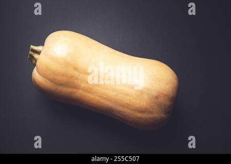 Frischer organischer Butternusskürbis, isoliert auf schwarzem Hintergrund. Butternusskürbis isoliert auf schwarzem Hintergrund Stockfoto