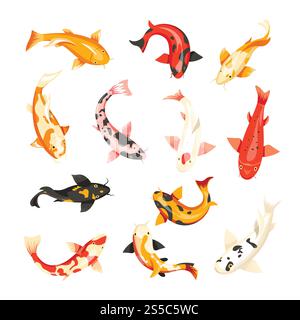 Karpfenfische von Vektorjapanischer oder chinesischer traditioneller Goldfische oder Koi-Fische mit hellem Ornament, das im Teich oben schwimmt. Karpfenfische Vektor-Symbole von oben Stock Vektor