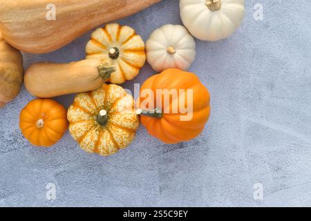 Verschiedene Kürbisse und Kürbisse auf grauem Hintergrund. Kopierbereich für Text. Stockfoto