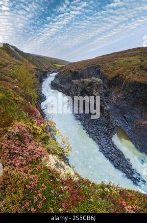 Der malerische Studlagil Canyon im Herbst ist eine Schlucht in Jokuldalur im Osten Islands. Berühmte Basaltfelsen und der Jokla River fließt durch Stockfoto