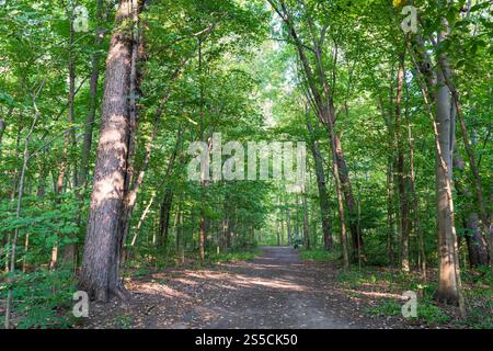 Wanderweg zum Angrignon Park im Sommer. Montreal, Quebec, Kanada. Stockfoto