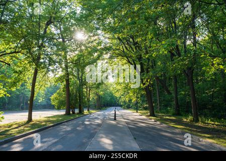 Wanderweg zum Angrignon Park im Sommer. Montreal, Quebec, Kanada. Stockfoto