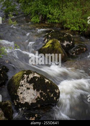 Ribblesdale, Yorkshire, Großbritannien - Ingleborough Cave, Spaziergang vom Dorf Clapham, Landschaft verwaltet als Ingleborough Estate Nature Trail - Clapham Beck. Stockfoto