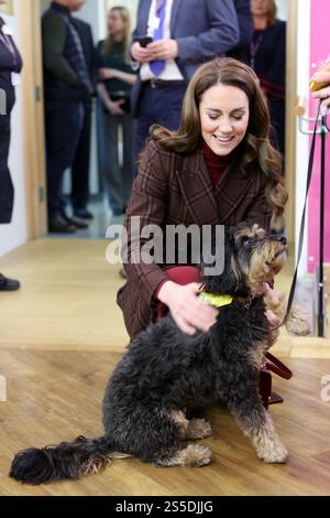 Die Prinzessin von Wales trifft Scout, einen Therapiehund, während eines Besuchs im Royal Marsden Hospital in London, wo sie ihre Krebsbehandlung erhielt, um persönlich den Mitarbeitern für ihre Betreuung zu danken. Der Prinz und die Prinzessin von Wales sind gemeinsame Schirmherren des Royal Marsden NHS Foundation Trust, dem Spezialkrankenhaus für Krebs, das jedes Jahr über 59.000 NHS- und Privatpatienten behandelt. Bilddatum: Dienstag, 14. Januar 2025. Stockfoto