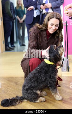 Die Prinzessin von Wales trifft Scout, einen Therapiehund, während eines Besuchs im Royal Marsden Hospital in London, wo sie ihre Krebsbehandlung erhielt, um persönlich den Mitarbeitern für ihre Betreuung zu danken. Der Prinz und die Prinzessin von Wales sind gemeinsame Schirmherren des Royal Marsden NHS Foundation Trust, dem Spezialkrankenhaus für Krebs, das jedes Jahr über 59.000 NHS- und Privatpatienten behandelt. Bilddatum: Dienstag, 14. Januar 2025. Stockfoto