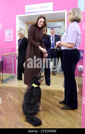 Die Prinzessin von Wales trifft Scout, einen Therapiehund, während eines Besuchs im Royal Marsden Hospital in London, wo sie ihre Krebsbehandlung erhielt, um persönlich den Mitarbeitern für ihre Betreuung zu danken. Der Prinz und die Prinzessin von Wales sind gemeinsame Schirmherren des Royal Marsden NHS Foundation Trust, dem Spezialkrankenhaus für Krebs, das jedes Jahr über 59.000 NHS- und Privatpatienten behandelt. Bilddatum: Dienstag, 14. Januar 2025. Stockfoto