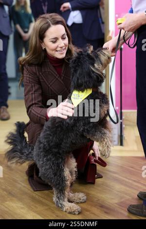 Die Prinzessin von Wales trifft Scout, einen Therapiehund, während eines Besuchs im Royal Marsden Hospital in London, wo sie ihre Krebsbehandlung erhielt, um persönlich den Mitarbeitern für ihre Betreuung zu danken. Der Prinz und die Prinzessin von Wales sind gemeinsame Schirmherren des Royal Marsden NHS Foundation Trust, dem Spezialkrankenhaus für Krebs, das jedes Jahr über 59.000 NHS- und Privatpatienten behandelt. Bilddatum: Dienstag, 14. Januar 2025. Stockfoto