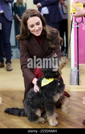 Die Prinzessin von Wales trifft Scout, einen Therapiehund, während eines Besuchs im Royal Marsden Hospital in London, wo sie ihre Krebsbehandlung erhielt, um persönlich den Mitarbeitern für ihre Betreuung zu danken. Der Prinz und die Prinzessin von Wales sind gemeinsame Schirmherren des Royal Marsden NHS Foundation Trust, dem Spezialkrankenhaus für Krebs, das jedes Jahr über 59.000 NHS- und Privatpatienten behandelt. Bilddatum: Dienstag, 14. Januar 2025. Stockfoto