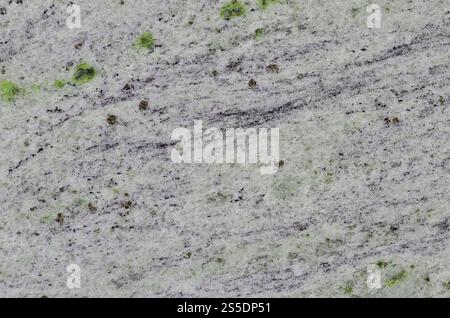Textur einer massiven und rutschigen beigefarbenen Marmoroberfläche als Material zur Dekoration von Wänden im Innen- und Fassadenbereich in Form von rechteckigen Fliesen. Stockfoto