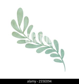 Pflanzenzweig mit abgerundeten grünen Blättern, handgemachte digitale Illustration isoliert auf weißem Hintergrund. Zum Erstellen von Weihnachtsgrußkarten Stockfoto