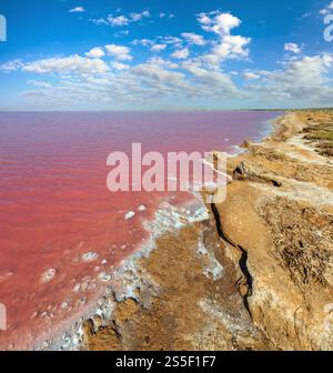Rosa extrem salzig Syvash See, gefärbt durch Mikroalgen mit kristallinen Salz depositionen. Auch als die fauligen Meer oder faulen Meer bekannt. Ukraine, Stockfoto