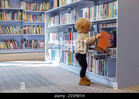Ein Kleinkind mit lockigem Haar, das einen Pullover und Stiefel trägt, wählt ein Buch aus einem Regal in einer Bibliothek aus. Cleveland, Ohio, USA Stockfoto