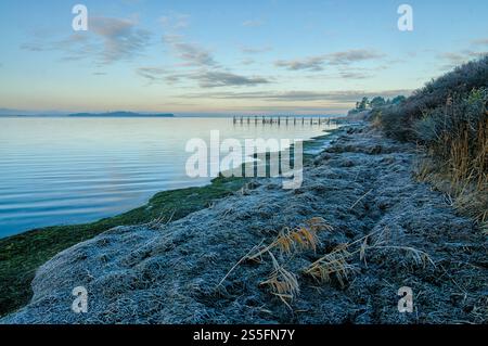Das Licht am frühen Morgen bürstet das ruhige Wasser, während der Frost die Küste bedeckt und ein hölzerner Pier in der Ferne auftaucht. Stockfoto