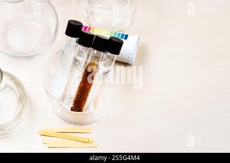 Reagenzgläser mit verschiedenen Lösungen, Kolben und Lackmuspapier auf einem Lichttisch mit Kopierraum Stockfoto