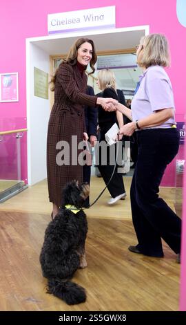 Die Prinzessin von Wales trifft Scout, einen Therapiehund, während eines Besuchs im Royal Marsden Hospital in London, wo sie ihre Krebsbehandlung erhielt, um persönlich den Mitarbeitern für ihre Betreuung zu danken. Der Prinz und die Prinzessin von Wales sind gemeinsame Schirmherren des Royal Marsden NHS Foundation Trust, dem Spezialkrankenhaus für Krebs, das jedes Jahr über 59.000 NHS- und Privatpatienten behandelt. Bilddatum: Dienstag, 14. Januar 2025. Stockfoto