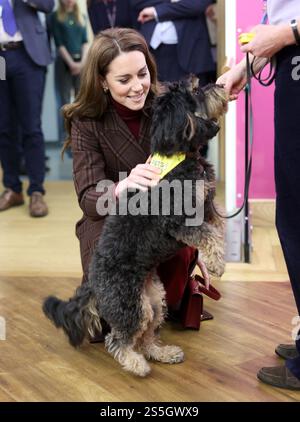 Die Prinzessin von Wales trifft Scout, einen Therapiehund, während eines Besuchs im Royal Marsden Hospital in London, wo sie ihre Krebsbehandlung erhielt, um persönlich den Mitarbeitern für ihre Betreuung zu danken. Der Prinz und die Prinzessin von Wales sind gemeinsame Schirmherren des Royal Marsden NHS Foundation Trust, dem Spezialkrankenhaus für Krebs, das jedes Jahr über 59.000 NHS- und Privatpatienten behandelt. Bilddatum: Dienstag, 14. Januar 2025. Stockfoto
