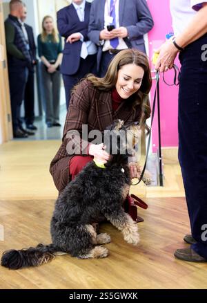 Die Prinzessin von Wales trifft Scout, einen Therapiehund, während eines Besuchs im Royal Marsden Hospital in London, wo sie ihre Krebsbehandlung erhielt, um persönlich den Mitarbeitern für ihre Betreuung zu danken. Der Prinz und die Prinzessin von Wales sind gemeinsame Schirmherren des Royal Marsden NHS Foundation Trust, dem Spezialkrankenhaus für Krebs, das jedes Jahr über 59.000 NHS- und Privatpatienten behandelt. Bilddatum: Dienstag, 14. Januar 2025. Stockfoto