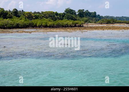 Die blaue Meeresküste mit dem Mangrovenwald unter dem hellen Himmel ist auf neil Island auf den Andamanen und Nikobar Inseln aufgenommen. Stockfoto