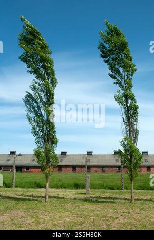 Gedenkstätte und Museum Auschwitz-Birkenau Stockfoto