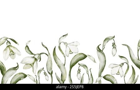 Wasserfarben Schneeglöckchen und nahtloser Blumenrand in weiß- und Grüntönen. Illustration Frühling blühende Blumen und Blätter für Hochzeitseinladungen, bota Stockfoto