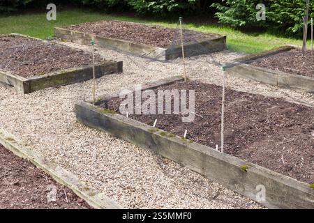 Leere Holzschlafbetten in einem Gemüsegarten im Frühjahr. Gemüsebeete in einem britischen Garten vorbereiten Stockfoto