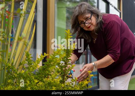 Eine Frau in einem roten Hemd kümmert sich um eine Pflanze. Sie trägt eine Brille und hat eine Schere in der Hand Stockfoto