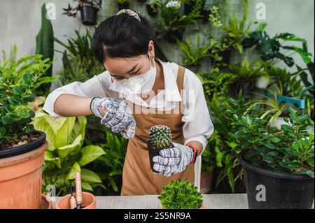 Asiatische Gärtnerin trägt Gesichtsmaske und Schürze mit Schaufel, um Kakteen und Zimmerpflanzen zu transplantieren und sich um Pflanzen zu Hause, Hobby oder klein zu kümmern Stockfoto
