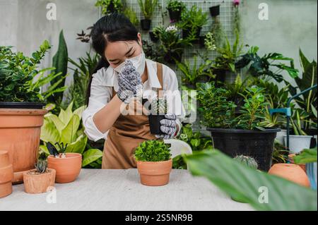 Asiatische Gärtnerin trägt Gesichtsmaske und Schürze mit Schaufel, um Kakteen und Zimmerpflanzen zu transplantieren und sich um Pflanzen zu Hause, Hobby oder klein zu kümmern Stockfoto