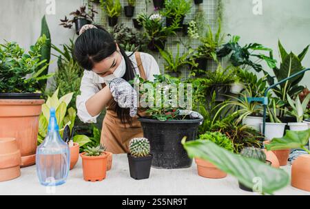 Asiatische Gärtner Frau trägt Gesichtsmaske und Schürze mit Schaufel, um Zimmerpflanzen und Kaktus zu transplantieren und sich um Zimmerpflanzen zu Hause, Hobby oder zu kümmern Stockfoto