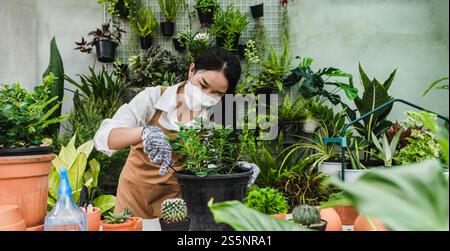 Asiatische Gärtner Frau trägt Gesichtsmaske und Schürze mit Schaufel, um Zimmerpflanzen und Kaktus zu transplantieren und sich um Zimmerpflanzen zu Hause, Hobby oder zu kümmern Stockfoto