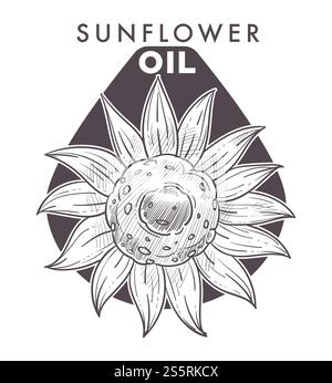 Sonnenblumenöl, Pflanze und Text monochrome Skizze Umrissvektor. Natürliche landwirtschaftliche Zutat, Blume mit Blütenblättern und Samen, Lebensmittelgewürz Zutat und Gewürz. Helianthus blühende Farm. Sonnenblumenöl, Pflanze und Text monochrome Skizzenkontur Stock Vektor