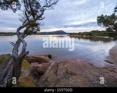 Die schöne Costa Corallina in Sardinien Stockfoto