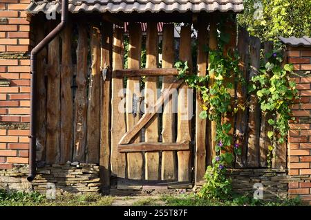 Alter Holzzaun im Herbst mit einem Wicket im Vintage-Stil. Ein alter Holzzaun mit einem Wicket Stockfoto
