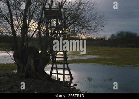 Jagdstand an der Donau bei Guenzburg in Bayern, Deutschland, bei Sonnenuntergang, Europa Stockfoto