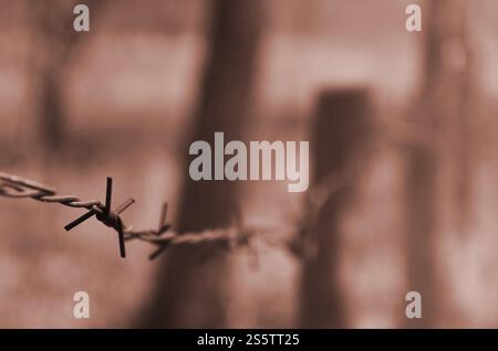 Makroaufnahme eines Elements von alten und rostigen Stacheldraht mit einem verschwommenen Hintergrund. Fragment eines Dorfes Zaun einer territorialen Website Stockfoto
