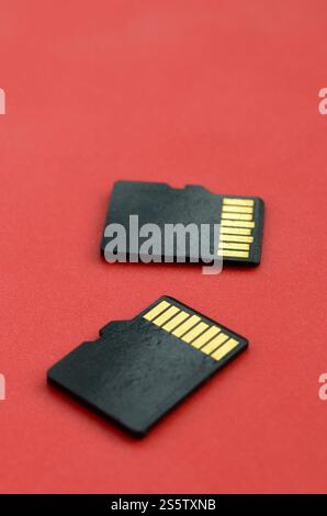 Zwei kleine microSD-Speicherkarten liegen auf rotem Hintergrund. Ein kleiner und kompakter Daten- und Informationsspeicher Stockfoto