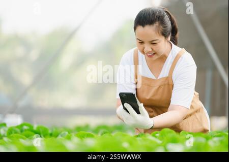 Asiatische Farmerin, die auf einer Bio-Gemüsefarm arbeitet. Hydroponischer Salatgartenbesitzer zur Kontrolle der Gemüsequalität in Gewächshausplantagen. Stockfoto