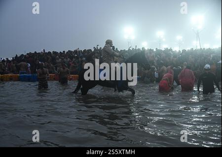 Prayagraj, Uttar Pradesh, Indien. Januar 2025. Die Polizei nutzt Pferde im Wasser, um die Menge in Sangam, wo die heiligen Flüsse Ganges, Yamuna und Saraswati aufeinander treffen, während der Maha Kumbh Mela in Prayagraj, Uttar Pradesh, Indien am 14. Januar 2025 zu zerstreuen. (Kreditbild: © Kabir Jhangiani/ZUMA Press Wire) NUR REDAKTIONELLE VERWENDUNG! Nicht für kommerzielle ZWECKE! Stockfoto