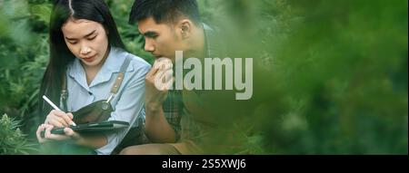 Porträt einer asiatischen Frau und eines Mannes Marihuana-Forscherin, die Marihuana-Cannabis-Plantage in der Cannabisfarm, Business Agricultural Cannabis, überprüft. Stockfoto