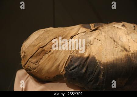 Mumy of Harwa (A). Verspätete Periode. Dynastie 26. Grabmal von Khaemuaset (QV 44). 772-525 V. CHR. Tal der Königinnen. Ägyptisches Museum von Turin. Italien. Stockfoto