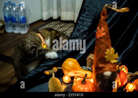 Halloween Dekorationen Hintergrund. Halloween gruseliger Kürbiskopf auf Holztisch Halloween-Feiertagskonzept. Stockfoto