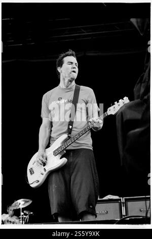 BLINK-182, READING FESTIVAL, 2000: Mark Hoppus, der Bassgitarrist von Blink-182, spielt auf der Main Stage beim Reading Festival, 27. August 2000. Foto: Rob Watkins. INFO: Blink-182 ist eine US-amerikanische Pop-Punk-Band, die 1992 gegründet wurde und für ihre eingängigen Melodien, humorvollen Texte und energiereichen Auftritte bekannt ist. Mit Hits wie All the Small Things und Enema of the State wurden sie zu Ikonen des Punk-Revivals der späten 90er Jahre. Stockfoto